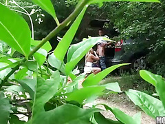 Picnic in the Woods